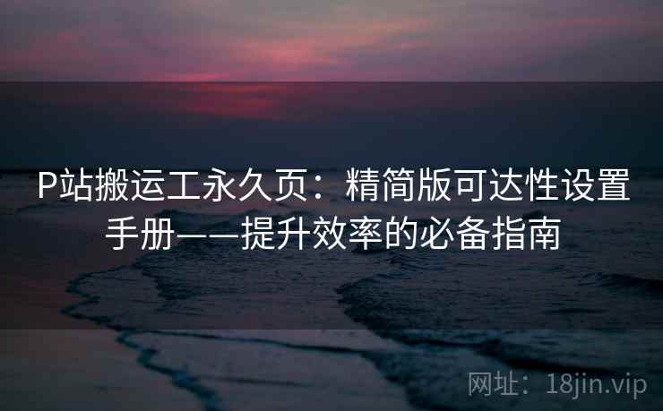 P站搬运工永久页：精简版可达性设置手册——提升效率的必备指南