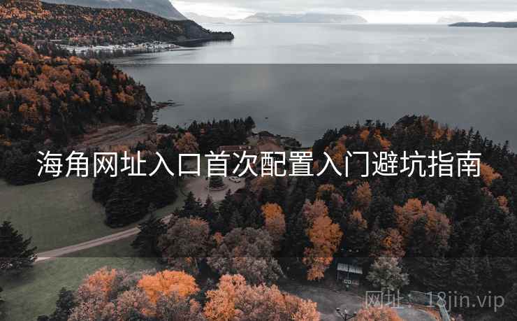 海角网址入口首次配置入门避坑指南