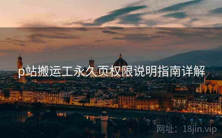p站搬运工永久页权限说明指南详解