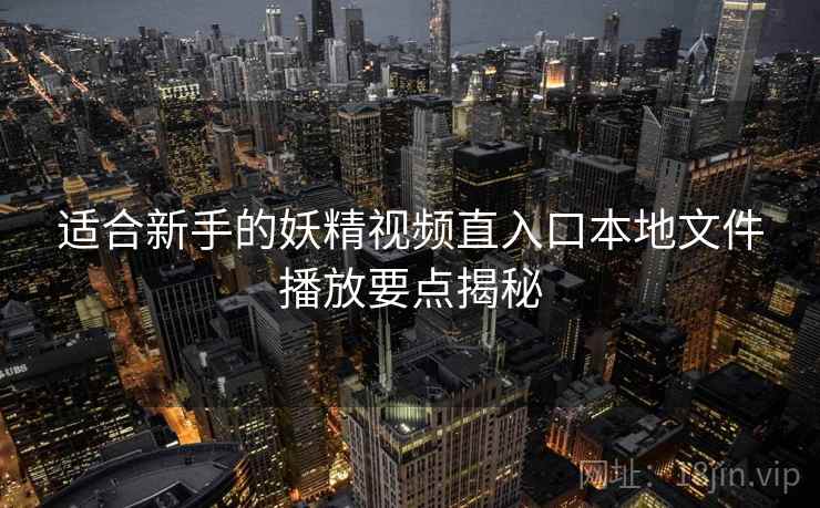适合新手的妖精视频直入口本地文件播放要点揭秘