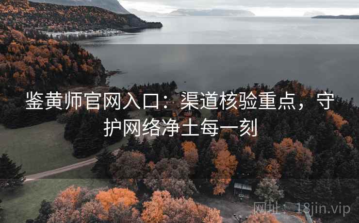 鉴黄师官网入口：渠道核验重点，守护网络净土每一刻