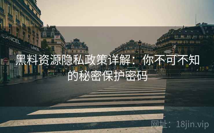 黑料资源隐私政策详解：你不可不知的秘密保护密码